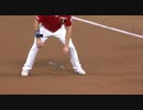 【MLB】メジャーの動物乱入集 Part 3