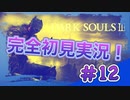 【ダークソウル3】新マップ探索！発狂の連続⁉　完全初見実況＃12【DARK SOULS III】