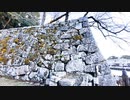 【滋賀県観光・SHIGA Travel】琵琶湖を見て、彦根城周辺をサイクリング＠雪降る中、旧彦根港で軽く釣りもする【VLOG・Black Shark 3】