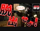 【実況】戦犯探しの極限世界探検記  Part 9【LOST PLANET 2】