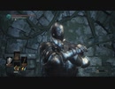真・どんくさい私でもダークソウル3実況プレイpart11