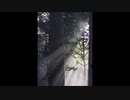 TTMP original music & image movie【 Ray 】
