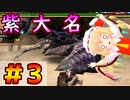 【MHP2G】メイドと吸血鬼姉妹のハンターライフPart3【ゆっくり実況】