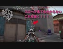もはや配信画質じゃ確認できない疑惑のヘッドショット+おまけギャラクシー【VALORANT】