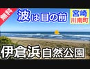 【宮崎 無料】伊倉浜自然公園キャンプ場（川南町）を紹介