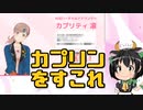 【鹿児島】バーチャルアナウンサー「カプリティ凛」誕生【KKB】