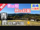 【宮崎 無料】青鹿自然公園キャンプ場（川南町）を紹介