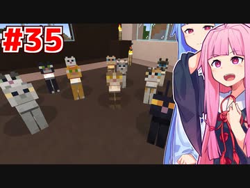 琴葉茜と琴葉葵は全ての猫を集めたい #35【Minecraft】