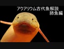 【ゆっくり解説】現生の古代魚解説　肺魚編【アクアリウム】