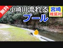 【宮崎 無料】小崎川流れるプール（椎葉村）を紹介