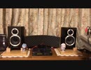 楽器に近い音を奏でるワーフェデールでのときめきポロロン♪