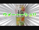 ウメーーーシュ!!