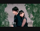 【定点ver.】食虫植物　踊ってみた【らんまる】