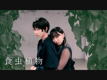 【定点ver.】食虫植物　踊ってみた【らんまる】