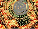 【るきみん7】EXすずこ撃破