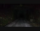 【心霊スポット】旧天城トンネル part.2【静岡県】