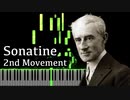 【ラヴェル】ソナチネ 第2楽章 - メヌエットの動きで -【Synthesia/Ravel/Sonatine 2nd Movement/Mouvt de Menuet/ピアノ】