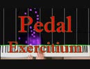 ペダル練習曲　BWV598