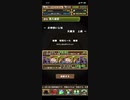 【パズドラ】式神使いと妖上級 ソロ周回編成 【ダンボ16順押し】