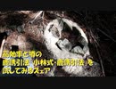 （とある誘引法でわな配備）変態忍者の、有害鳥獣駆除従事活動記・その１４４