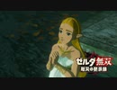 [初見] ゼルダ無双厄災の黙示録 一応実況プレイかも！ 第25回 -1/2
