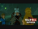 [初見] ゼルダ無双厄災の黙示録 一応実況プレイかも！ 第25回 -2/2
