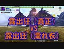 【裸特殊許可の旅 その１１】裸操虫棍 紫毒姫狩猟依頼【東北イタコ＆ゆっくり実況】