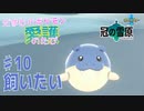 【実況】だまむのポケモン愛護のたび「冠の雪原」 ＃１０