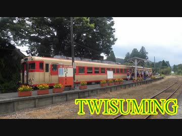 TWISUMING