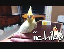 25年間ずっと飼い主が大好き！