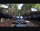 おっぱいマウントを試してみた2【VTR250】
