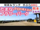 【熊本 玉名】たまなフラワーパーク キャンプ場（横島町）を紹介
