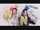 【胡蝶*×架撫】ニナ【踊ってみた】