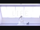 【6周年なので】LIFE 踊ってみた【ちかのとかげ】