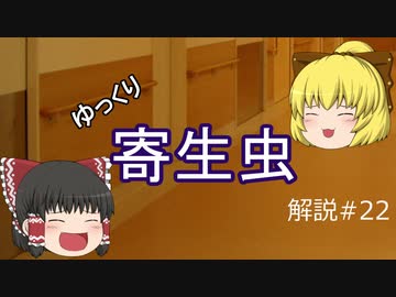 【ゆっくり解説】ゆっくり寄生虫解説#22~リーシュマニア~