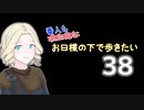 【Skyrim】吸血鬼もお日様の下で歩きたい38