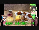 【VOICEROID車載】2021年台風ツーリング(京都→大阪→関東ツーリング)Part2