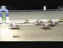2021年2月7日高知競馬7R スポーツニッポン新聞社杯 長浜特別(準重賞) エイシンヴァラー
