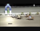 2021年2月7日高知競馬8R A・B混合 ムーランブラン