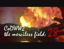 CoDWWⅡ the merciless field: 28