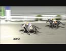 2021年2月7日高知競馬9R 高知けいば騎手会協賛 大恵さん誕生日特別(C2-2組) ルミナスウォリアー