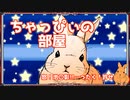 【ウサギさんニュース】ちゃっぴぃの部屋　ウサギのちゃっぴぃ米大統領ニュース