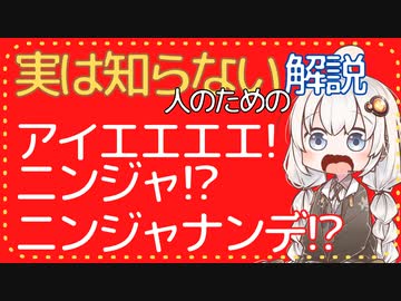 よく見るけど実は知らない人のためのニコニココメント紹介 第2回「アイエエエエ! ニンジャ!? ニンジャナンデ!?」