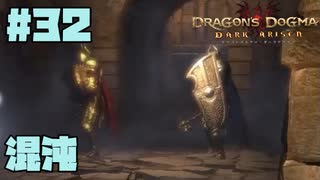 仕事辞めたので黒呪島生活。#32【ドラゴンズドグマダークアリズン】【DDDA】