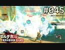 【実況】#045:ゼルダ無双 厄災の黙示録 初見実況プレイ【ハード】