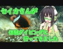 【VOICEROID+ゆっくり】セイカさんが宮古島へ体験ダイビングに行ってきました