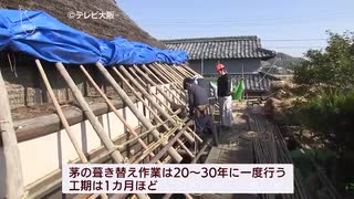 神戸市北区の職人、茅葺き屋根に求める　機能と色気　