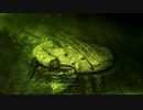 Baltic_Sea_Anomaly_Still_Baffles_Scientists_5_Years_Later_Sunken