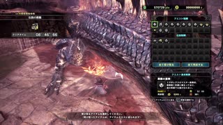 MHW_i  ミラボレアスソロハンマー　8分46秒66