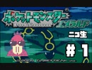 ポケモンエメラルド初見プレイその１　2021年2月2日